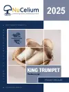 King Trumpet Spec Sheet 2025
