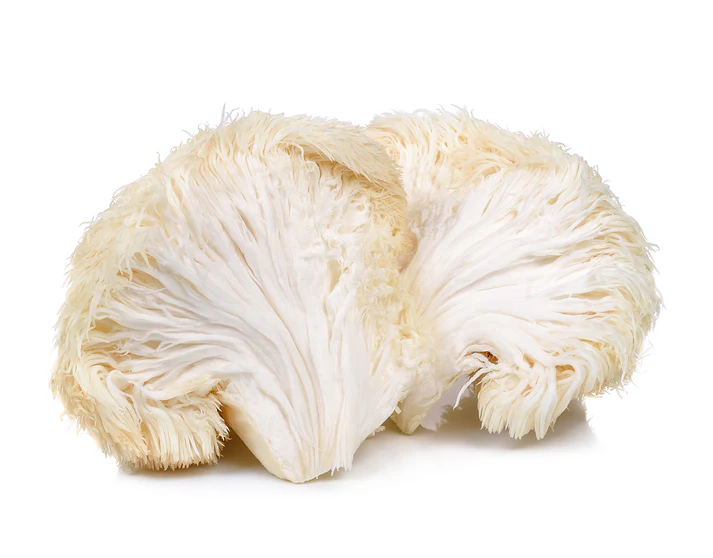 LionsMane